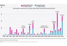 Insider Info: How Resilient Are Your Homes?
