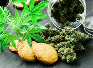 THE SAFETY PROS : Will legal cannabis threaten workplace safety?