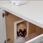 judgement_day_fall2019_2