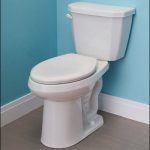 aging_in_place_spring2020_toilets