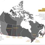 by_the_numbers_w20_1