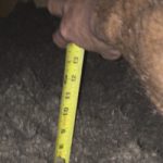 getting_netzero_ready_winter2020_10