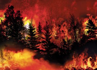 Wind and fire resilience – how we can limit the risk