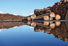 How wood can spur Canada’s Green building drive