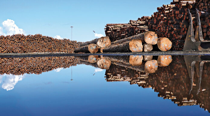 How wood can spur Canada’s Green building drive