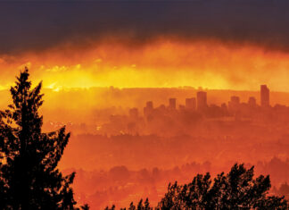 Fire protection during construction – having a plan is key to minimizing your risk