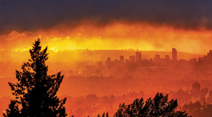 Fire protection during construction – having a plan is key to minimizing your risk